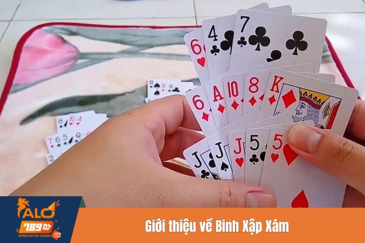 Giới thiệu về Binh Xập Xám