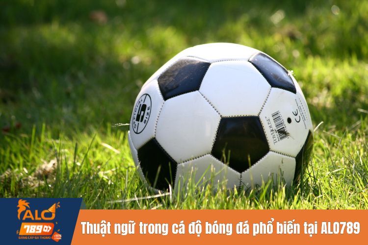 Thuật ngữ trong cá độ bóng đá phổ biến tại ALO789