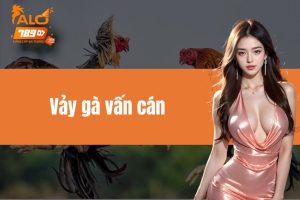 Vảy gà vấn cán - Mẹo chọn chiến kê bất bại cho newbie